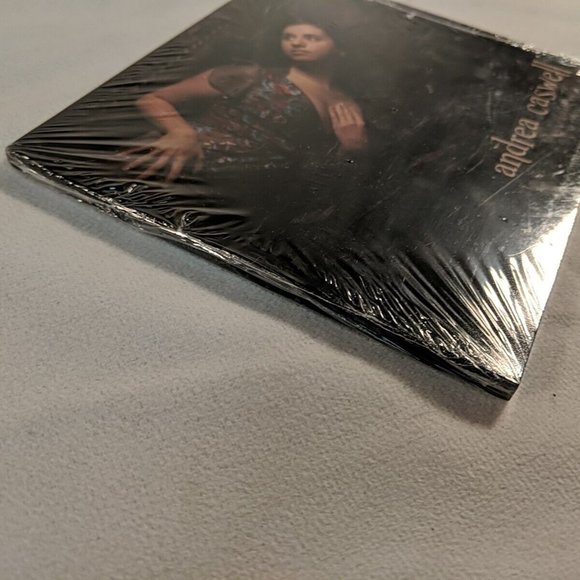 Andrea Caswell Love and the Afters NEW SEALED CD 2011 Brian Lahaie - Picture 3 of 6